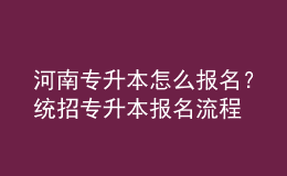 河南專升本怎么報(bào)名？統(tǒng)招專升本報(bào)名流程