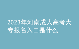 2023年河南成人高考大專報名入口是什么？復(fù)習(xí)方法有哪些？