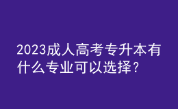 2023成人高考專升本有什么專業(yè)可以選擇？