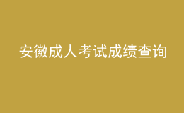 安徽成人考試成績(jī)查詢(xún)