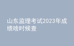山東監(jiān)理考試2023年成績啥時(shí)候查