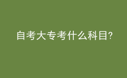 自考大?？际裁纯颇?