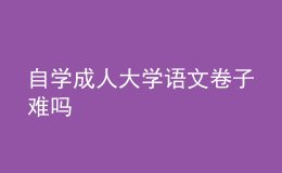 自學(xué)成人大學(xué)語文卷子難嗎 