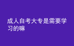 成人自考大專是需要學習的嘛 