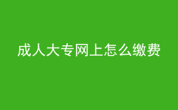 成人大專網上怎么繳費