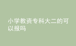 小學(xué)教資?？拼蠖目梢詧?bào)嗎