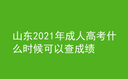 山東2021年成人高考什么時(shí)候可以查成績(jī)