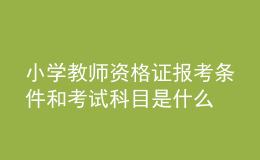 小學(xué)教師資格證報考條件和考試科目是什么