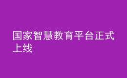國(guó)家智慧教育平臺(tái)正式上線(xiàn)