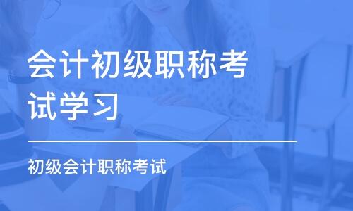 什么是初級(jí)會(huì)計(jì)職稱考試？
